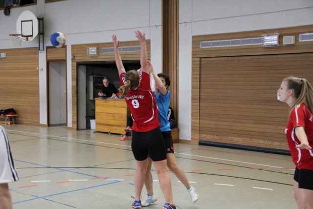 2017_01_08 Landesliga Frauen u. J19